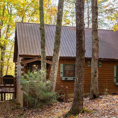 Mountain Time Cabin, Hot Tub, Fire Pit, Fireplace Βίλα Blue Ridge Εξωτερικό φωτογραφία
