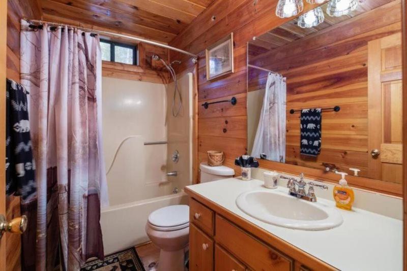 Mountain Time Cabin, Hot Tub, Fire Pit, Fireplace Βίλα Blue Ridge Εξωτερικό φωτογραφία