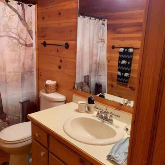 Mountain Time Cabin, Hot Tub, Fire Pit, Fireplace Βίλα Blue Ridge Εξωτερικό φωτογραφία